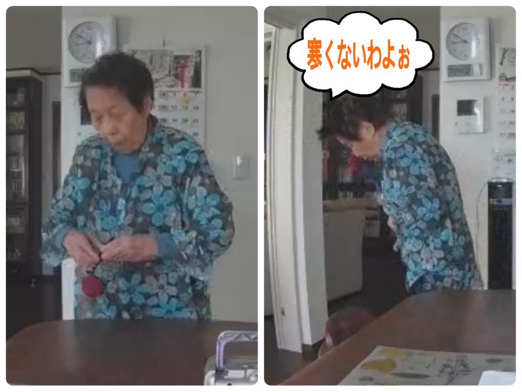 f:id:vivieng-me:20241207184821j:image