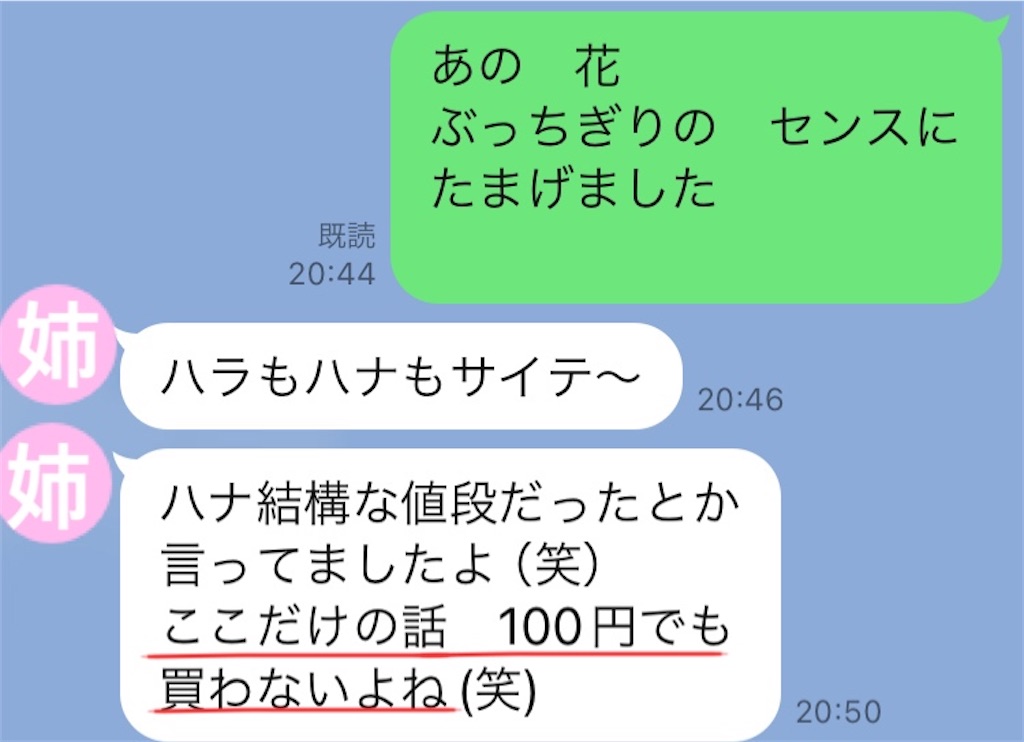 f:id:vivieng-me:20241214074003j:image