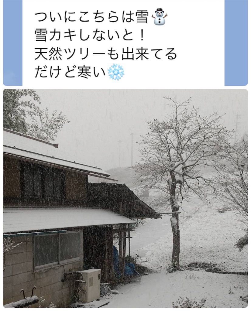f:id:vivieng-me:20241223145904j:image
