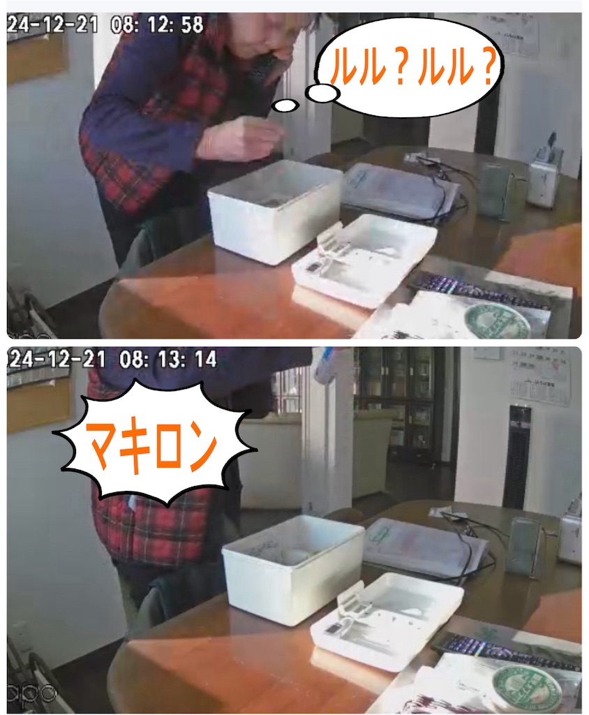 f:id:vivieng-me:20241223194844j:image