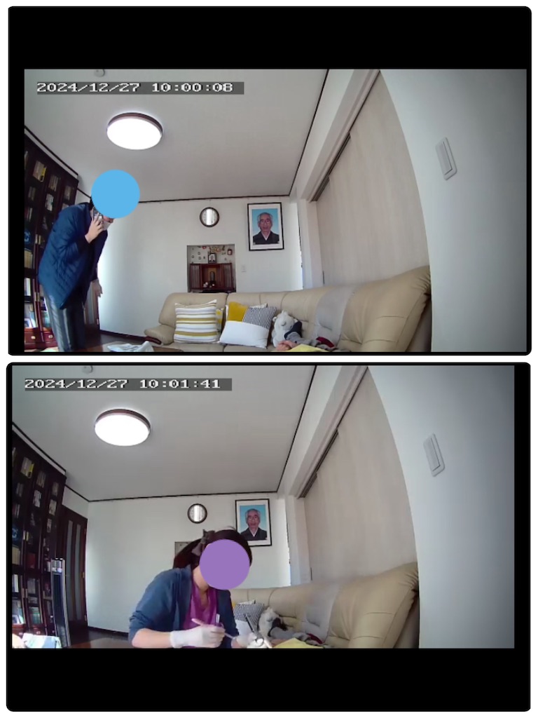f:id:vivieng-me:20241227182041j:image