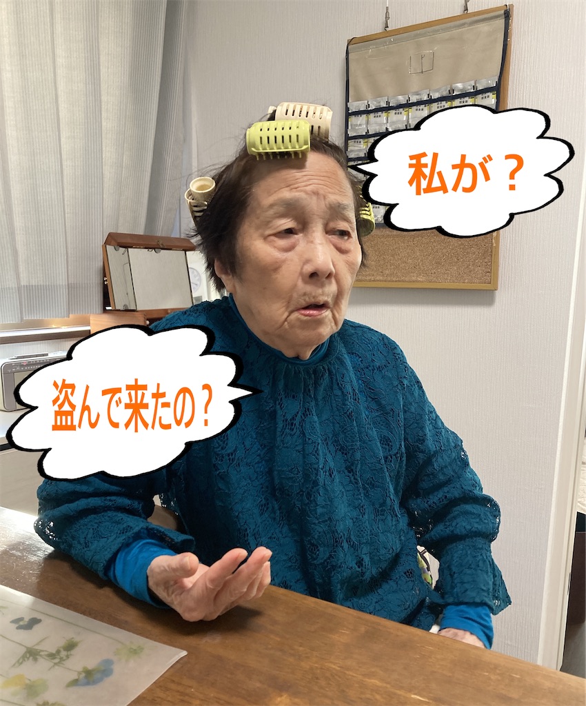f:id:vivieng-me:20241229155738j:image