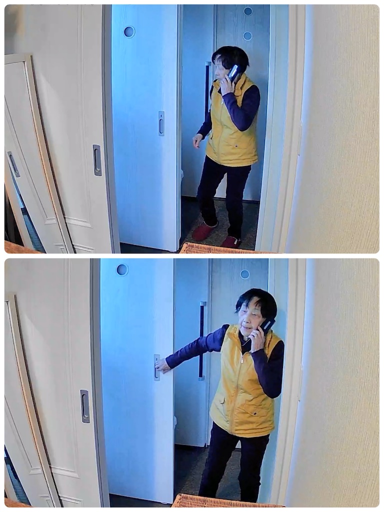 f:id:vivieng-me:20250111175509j:image