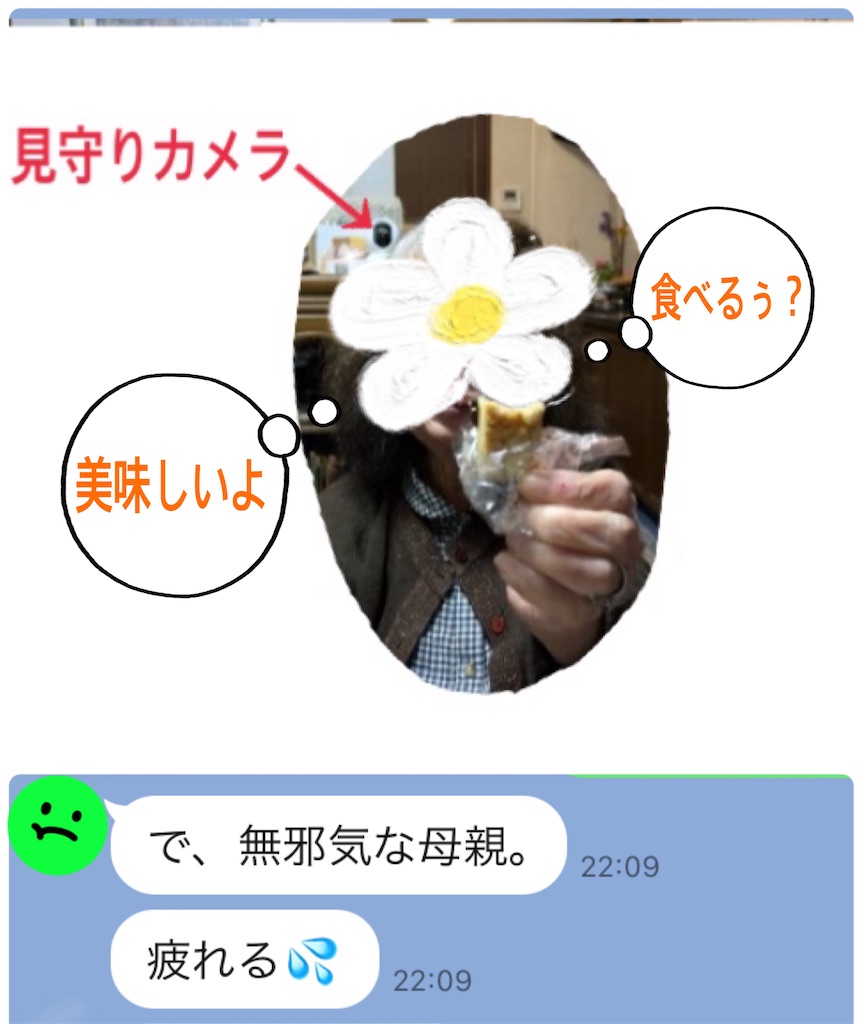 f:id:vivieng-me:20250208162325j:image