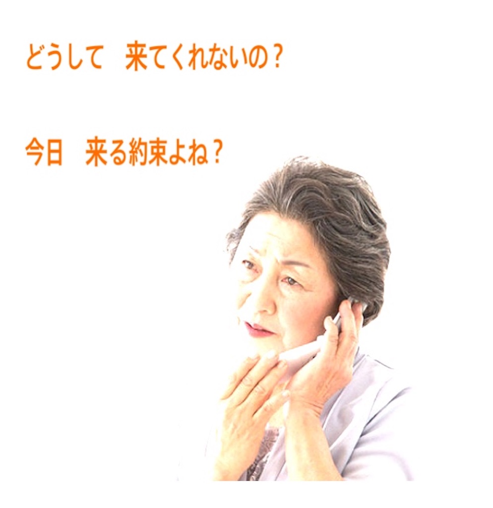 f:id:vivieng-me:20250210163802j:image