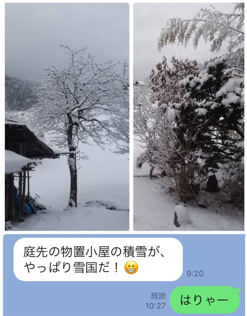 f:id:vivieng-me:20250211172223j:image