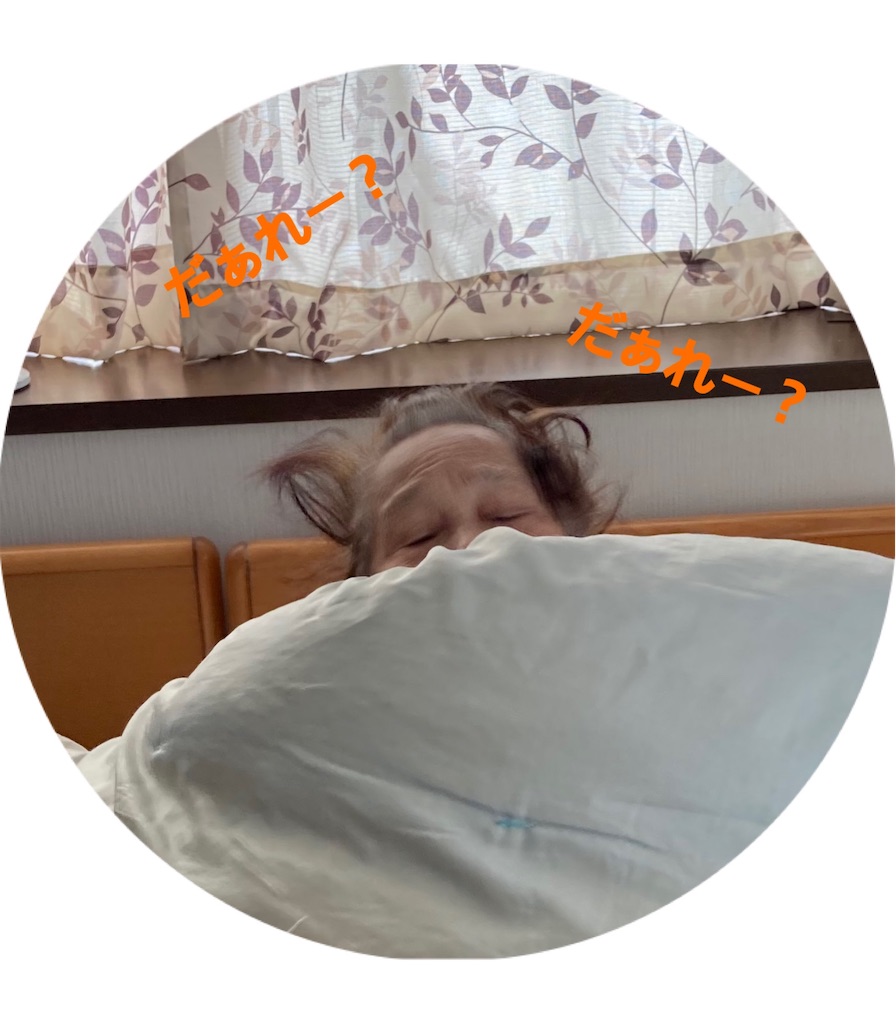 f:id:vivieng-me:20250215184302j:image