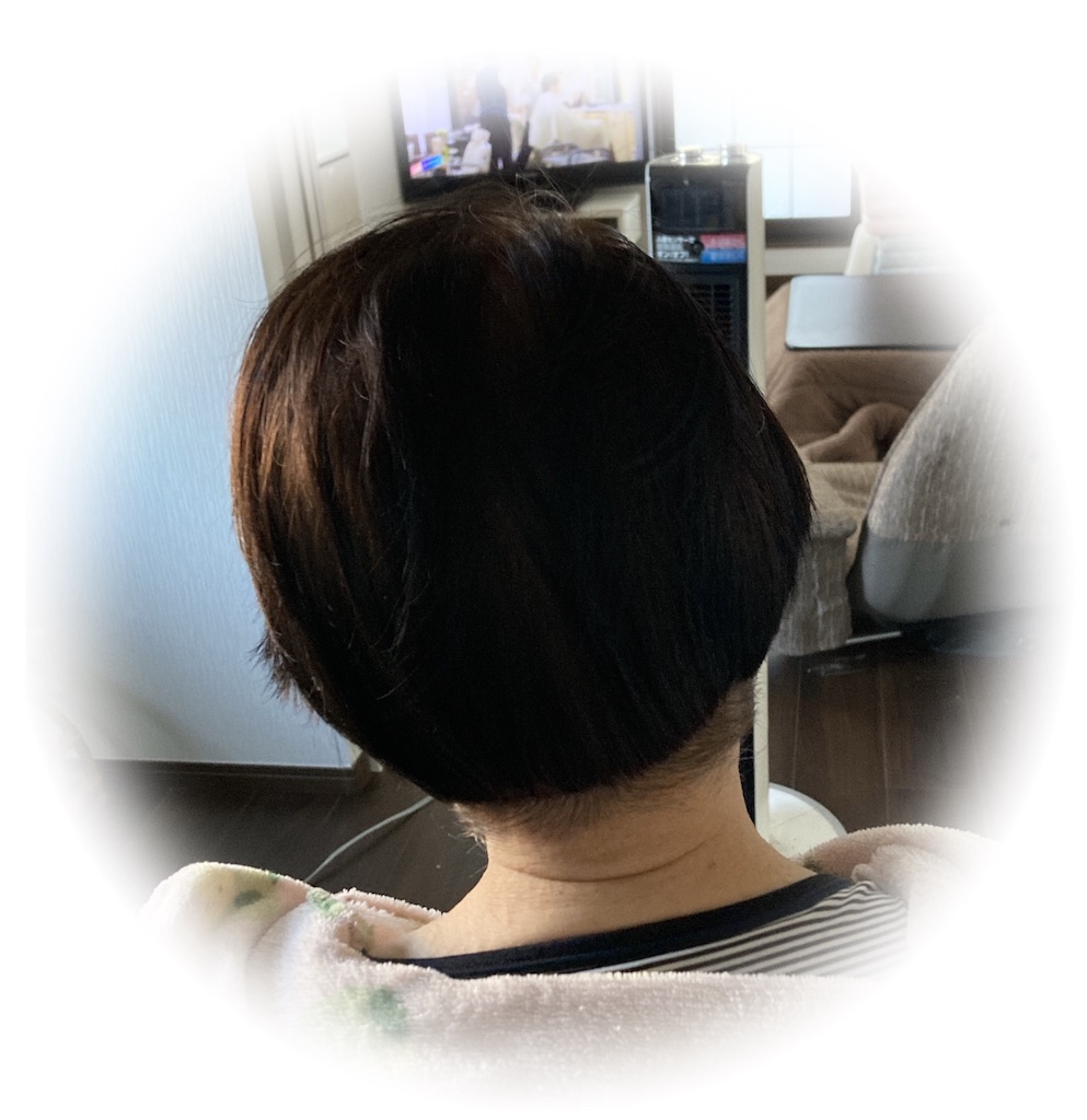 f:id:vivieng-me:20250216203339j:image