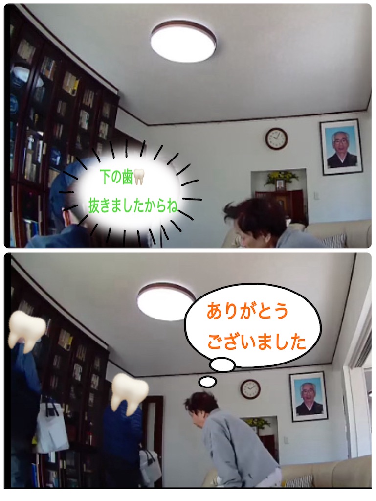 f:id:vivieng-me:20250221193919j:image