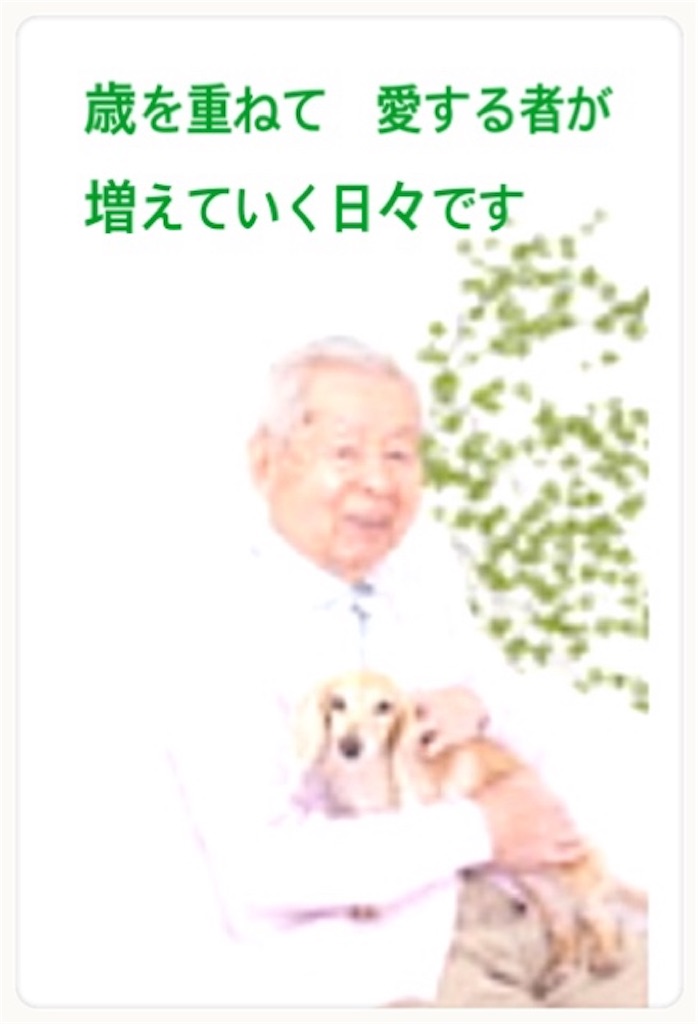 f:id:vivieng-me:20250226204727j:image