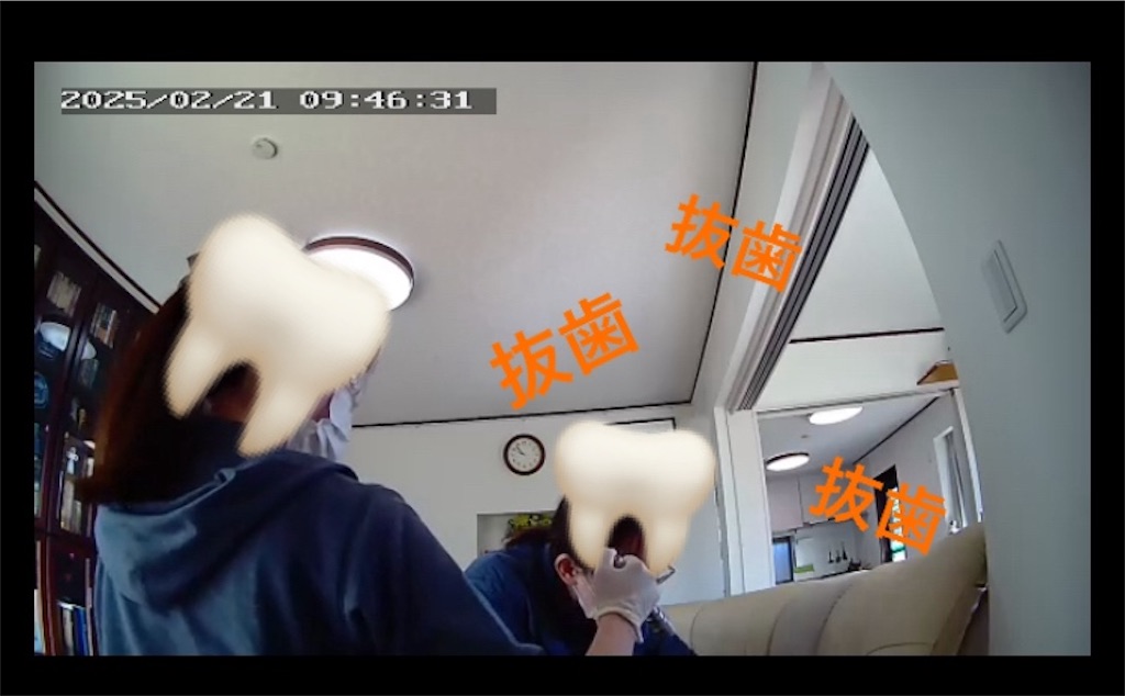 f:id:vivieng-me:20250228192608j:image