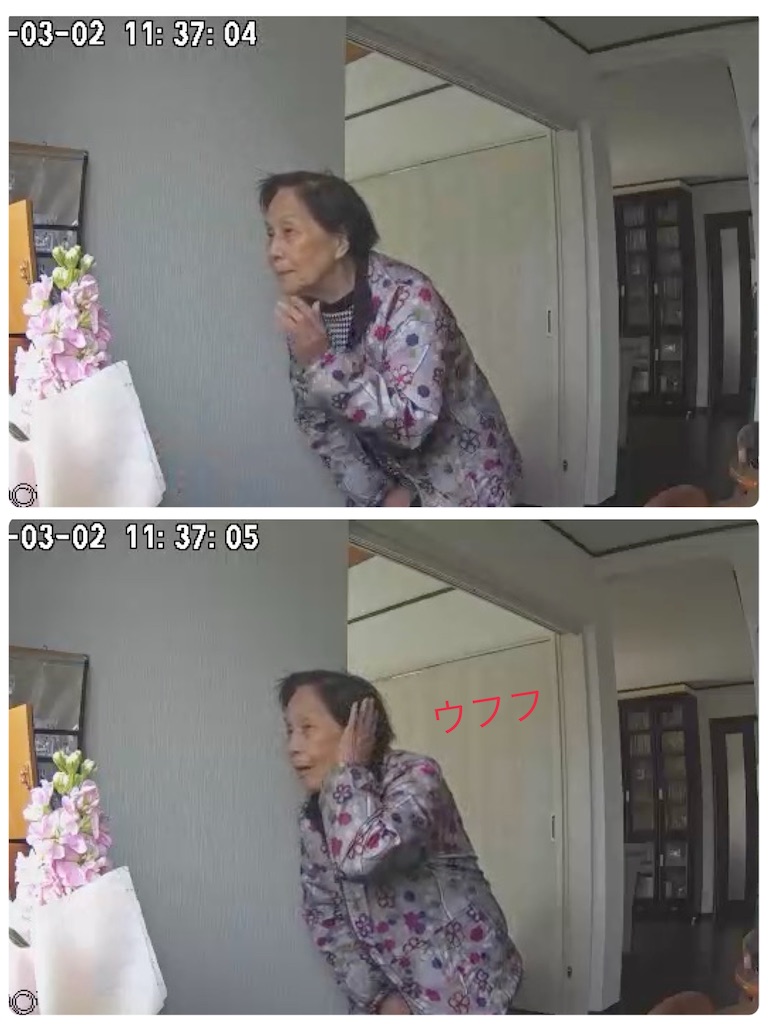 f:id:vivieng-me:20250302120042j:image