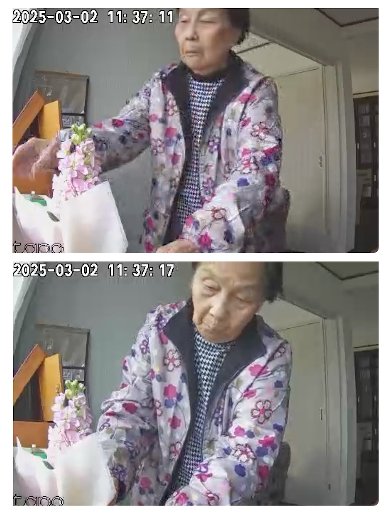 f:id:vivieng-me:20250302120126j:image