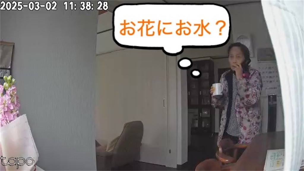 f:id:vivieng-me:20250302120245j:image