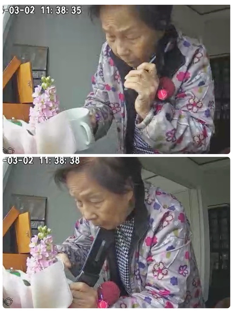 f:id:vivieng-me:20250302120325j:image