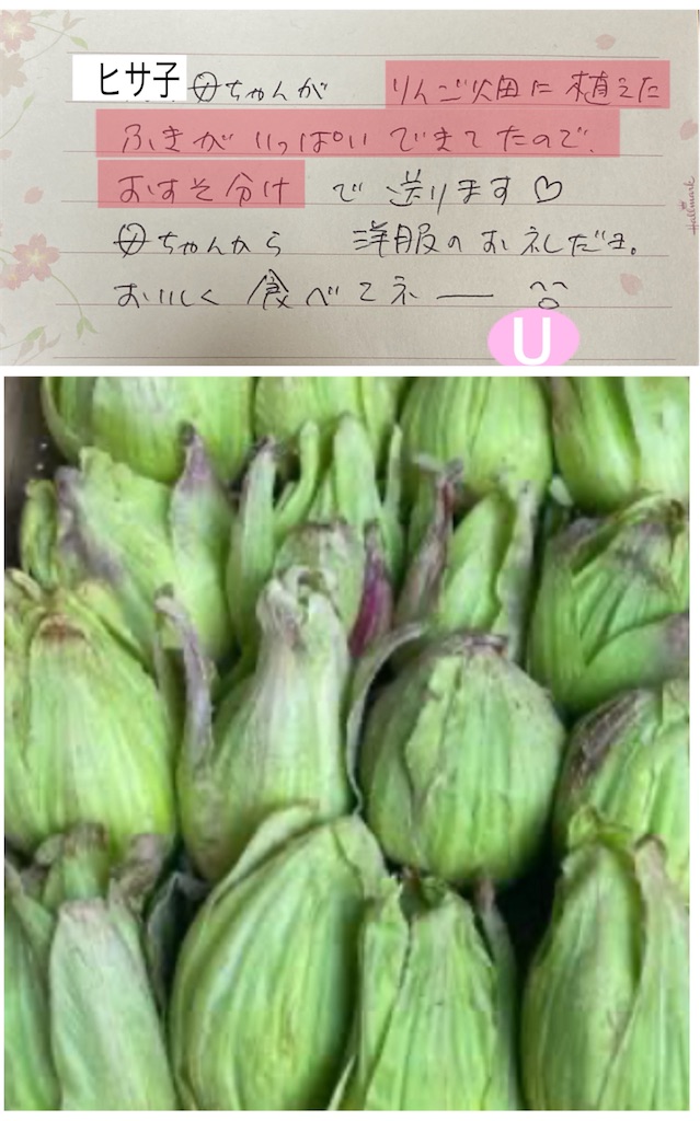 f:id:vivieng-me:20250304162031j:image