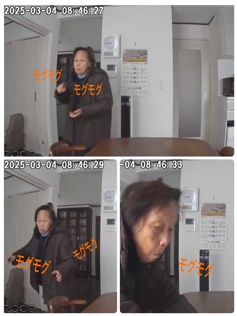 f:id:vivieng-me:20250304190122j:image