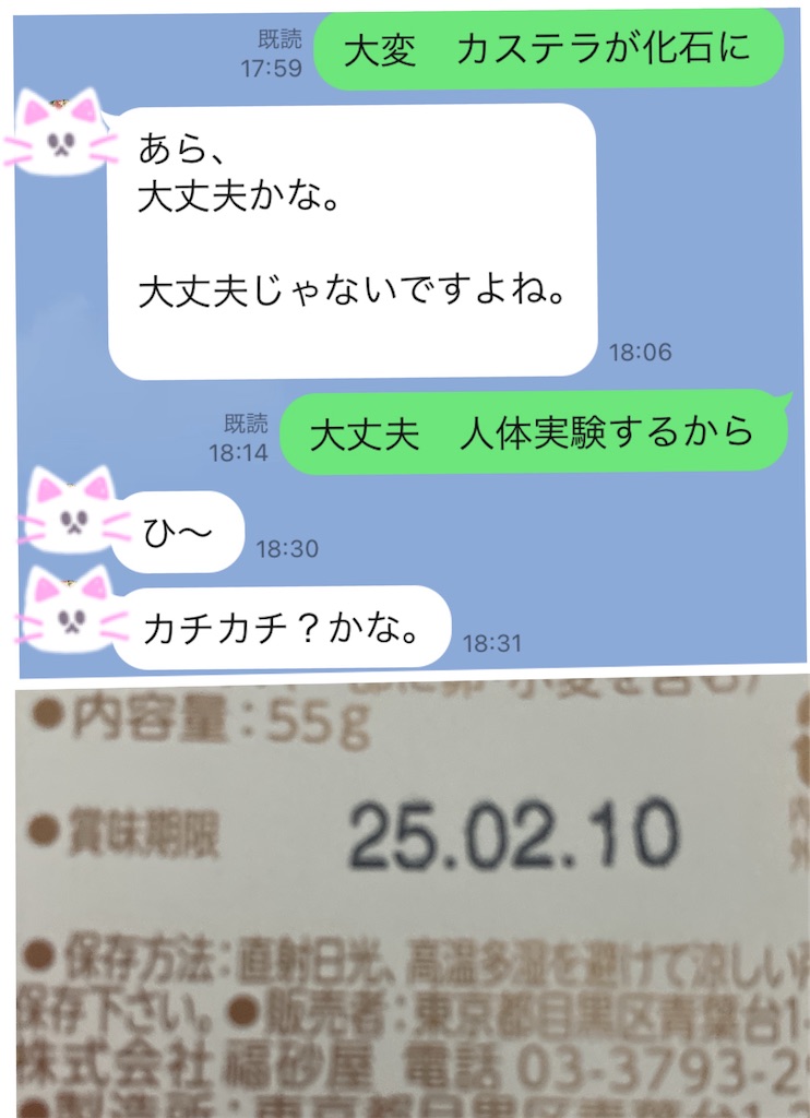 f:id:vivieng-me:20250313210458j:image
