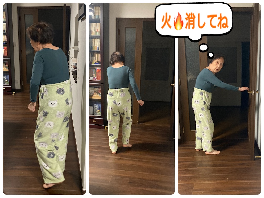 f:id:vivieng-me:20250313211023j:image