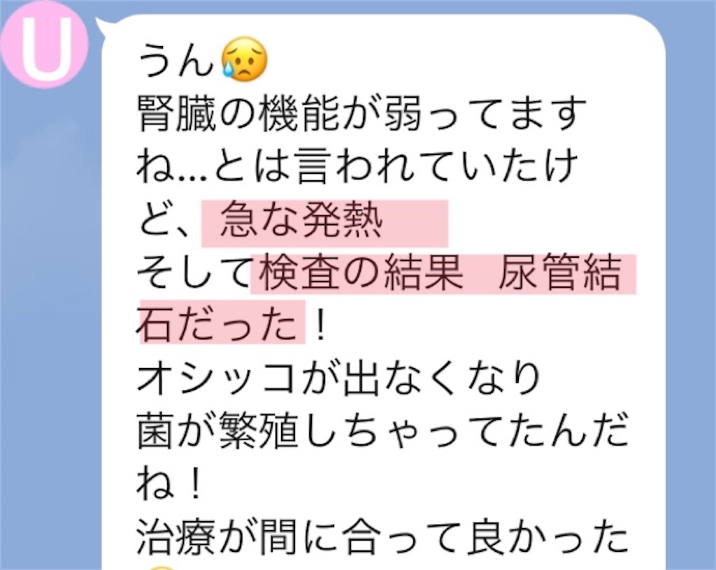 f:id:vivieng-me:20250319170814j:image