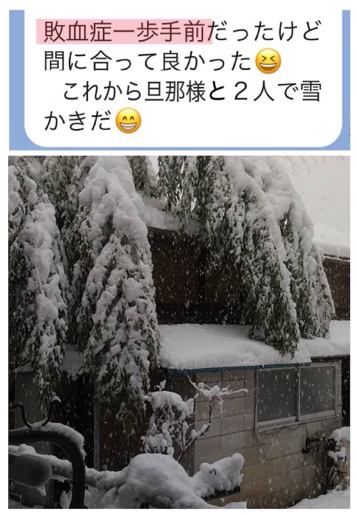 f:id:vivieng-me:20250319174415j:image