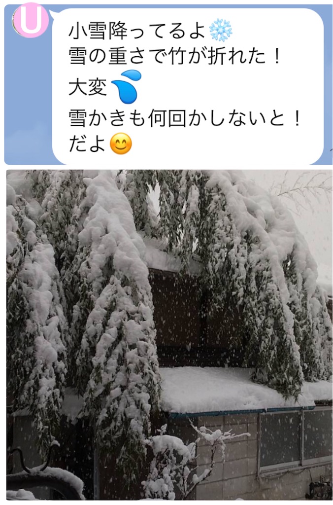 f:id:vivieng-me:20250319175439j:image