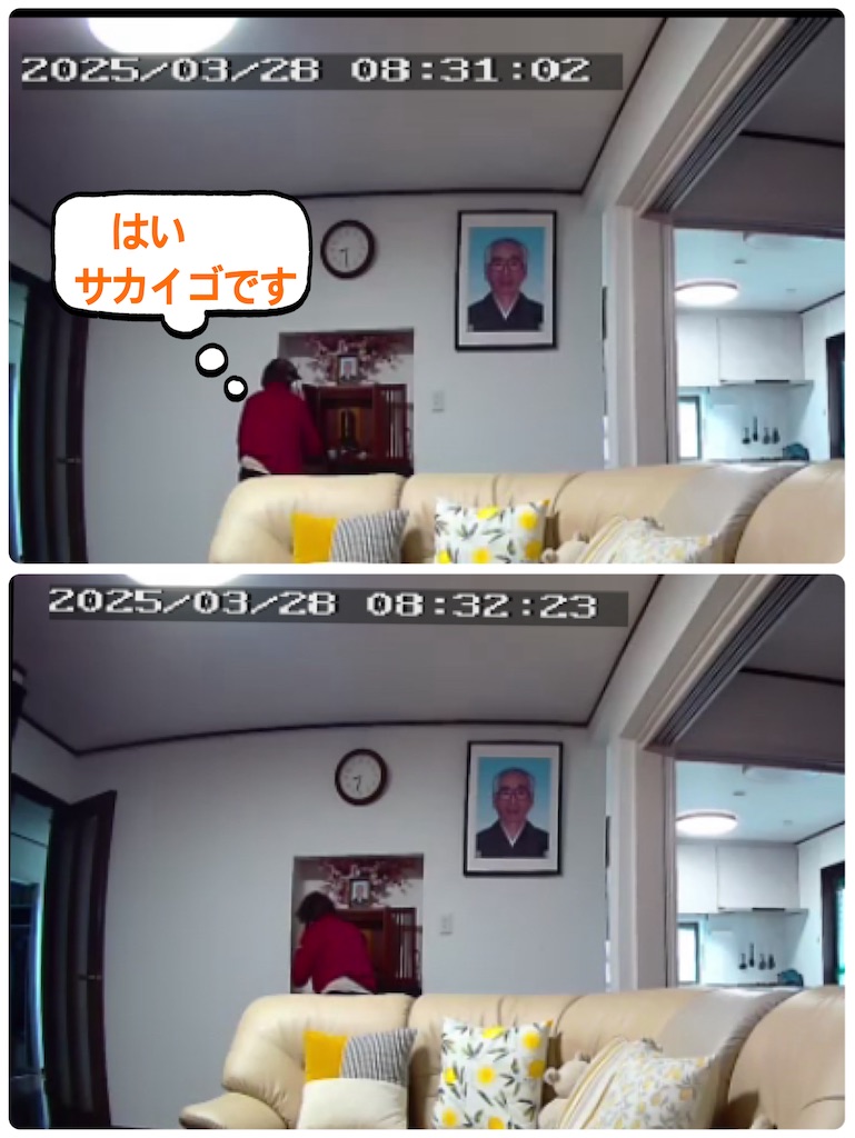 f:id:vivieng-me:20250328195033j:image