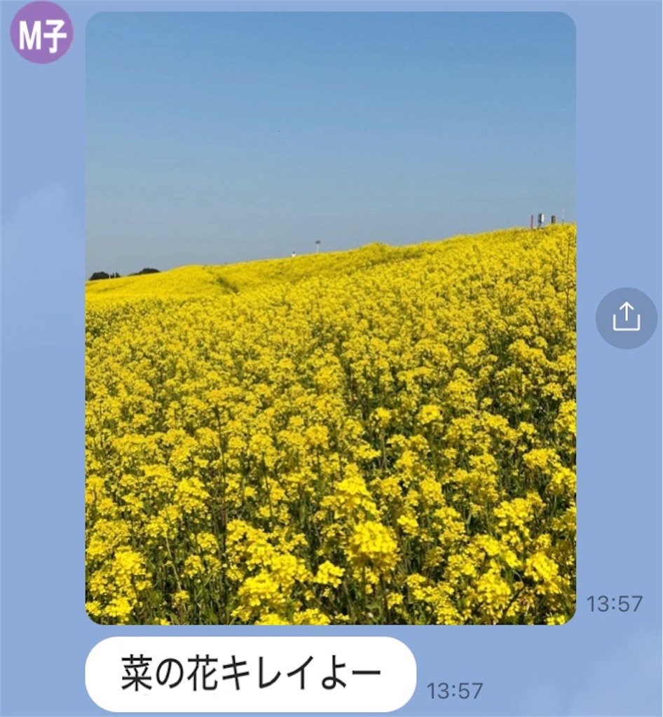 f:id:vivieng-me:20250407194410j:image