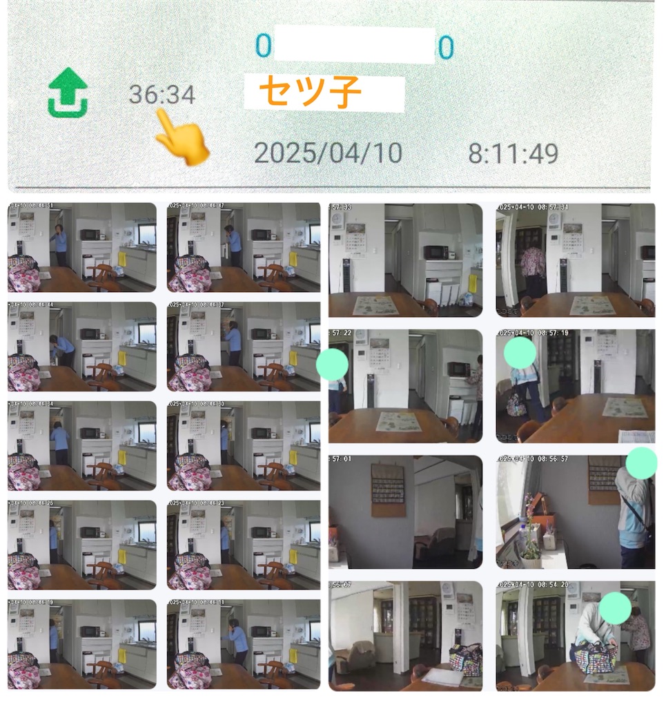 f:id:vivieng-me:20250412134239j:image