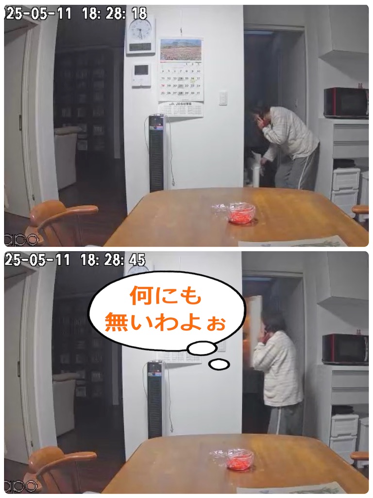 f:id:vivieng-me:20250513203643j:image