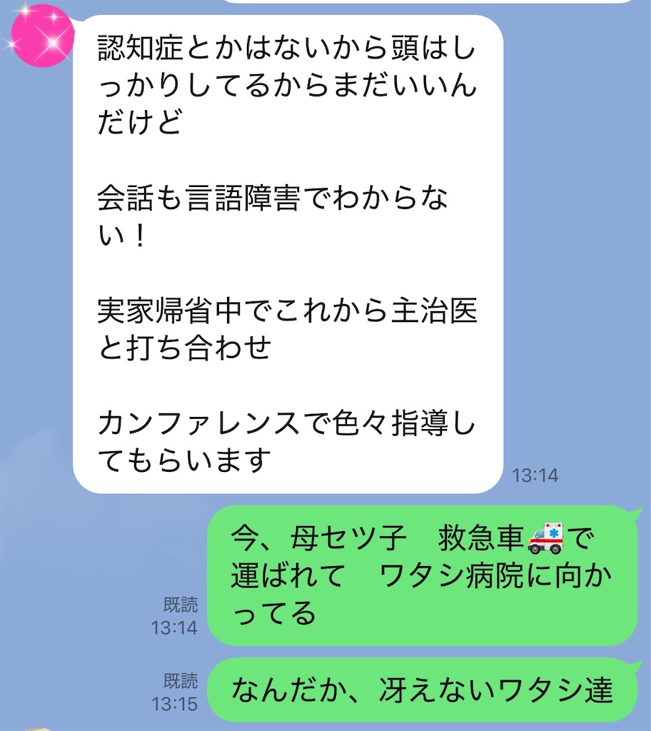 f:id:vivieng-me:20250517130740j:image