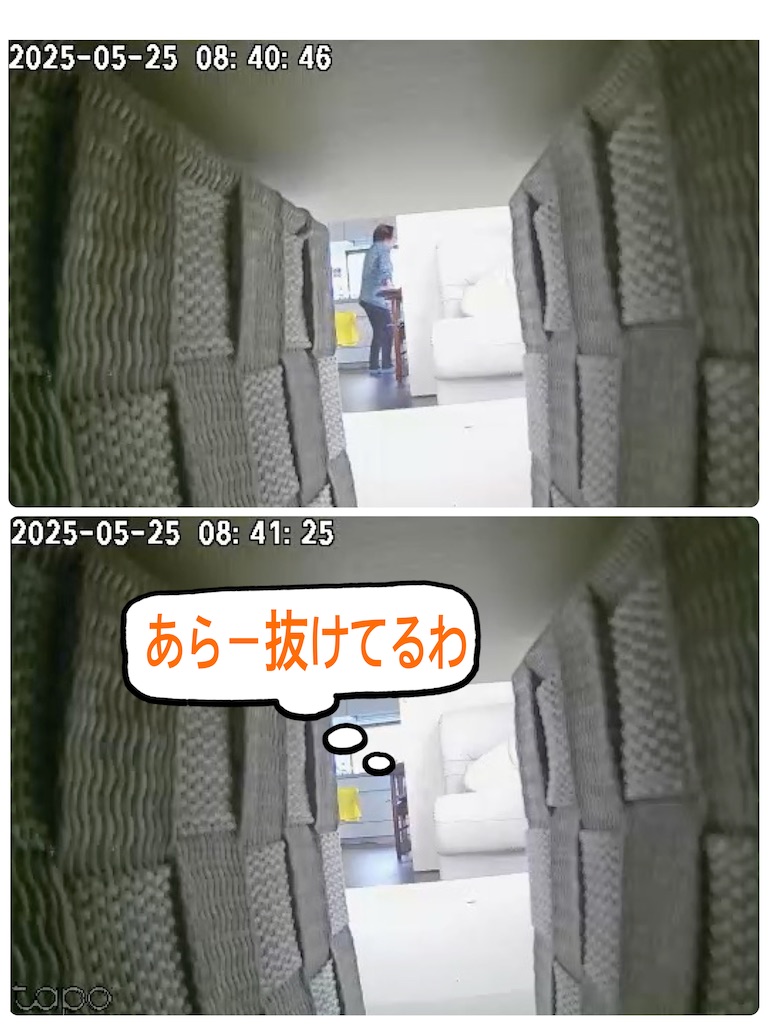 f:id:vivieng-me:20250525122910j:image