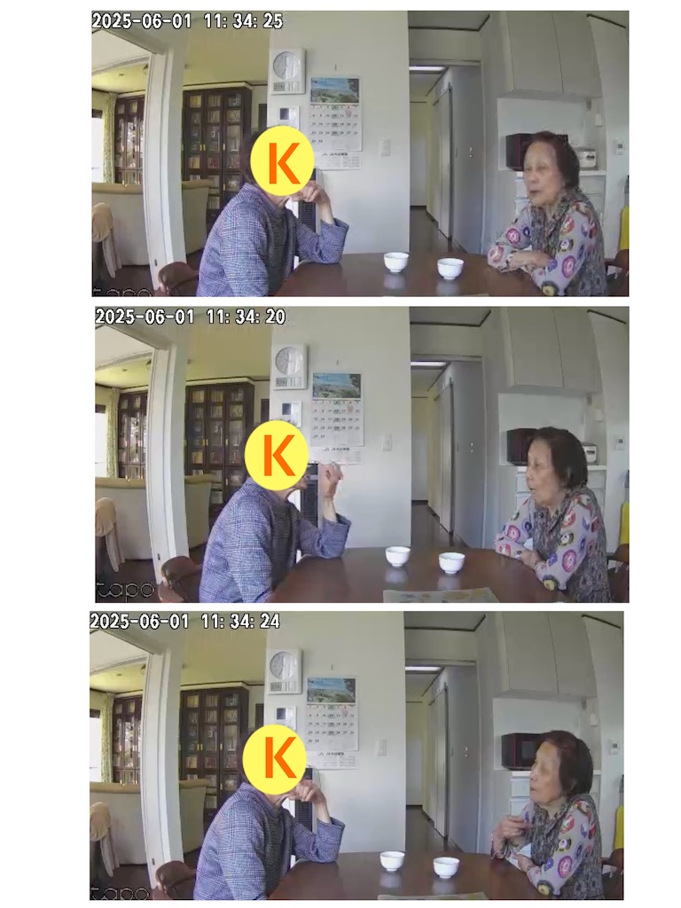 f:id:vivieng-me:20250601190825j:image