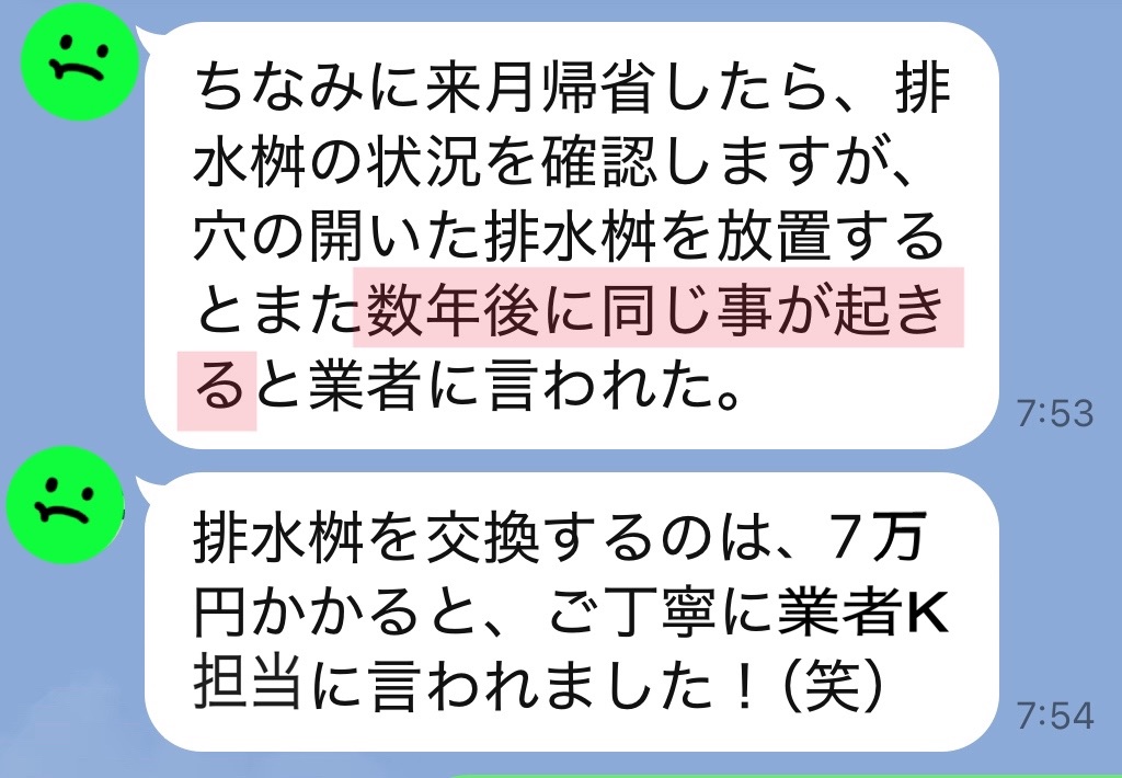 f:id:vivieng-me:20250605143011j:image