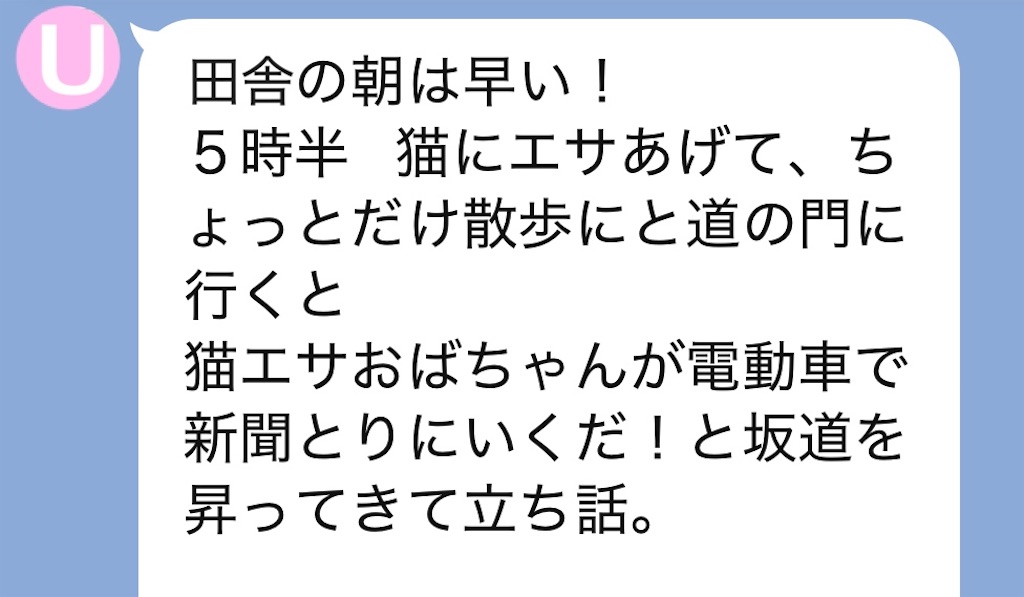 f:id:vivieng-me:20250611202911j:image