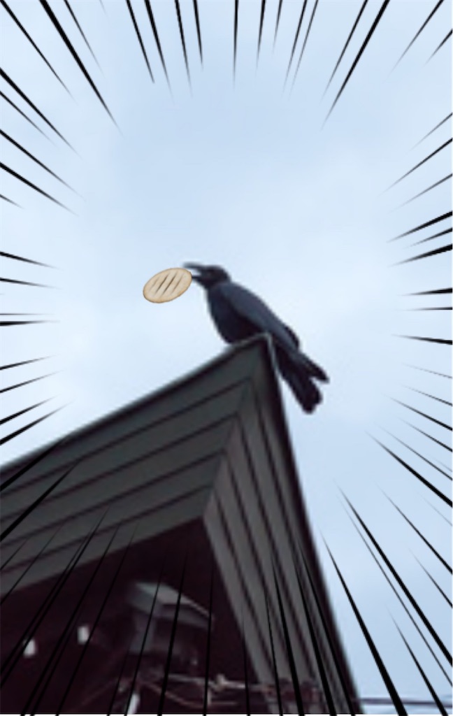 f:id:vivieng-me:20250611205140j:image