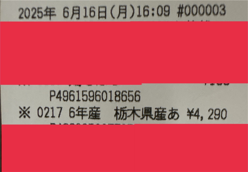f:id:vivieng-me:20250616215739j:image