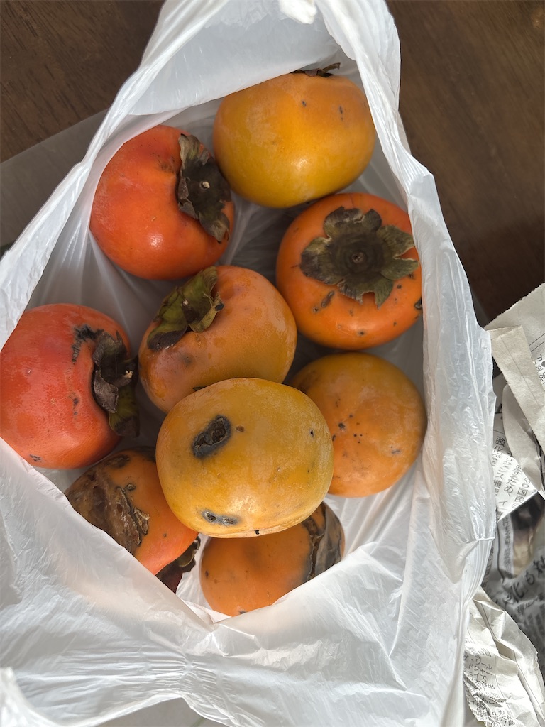 f:id:vivieng-me:20251103211026j:image f:id:vivieng-me:20251103211026j:image