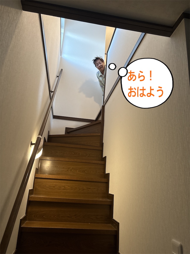 f:id:vivieng-me:20251123105117j:image f:id:vivieng-me:20251123105117j:image