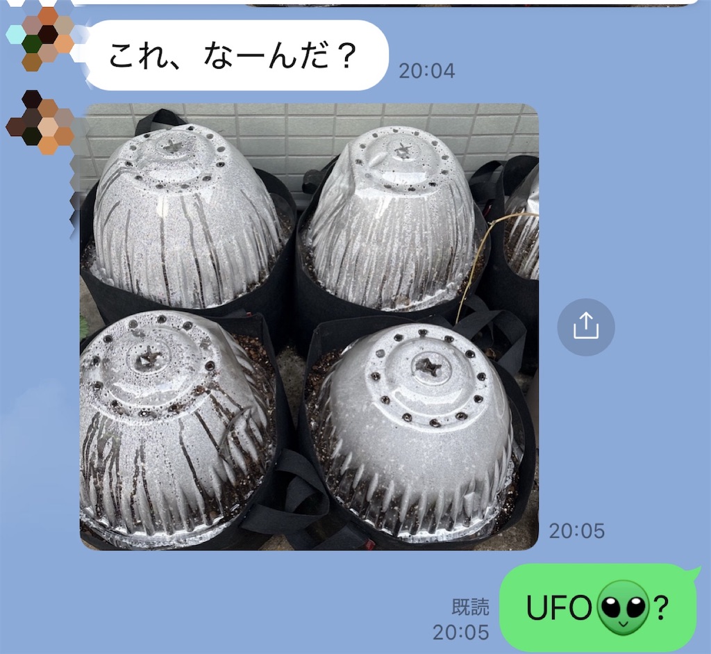 f:id:vivieng-me:20251126201443j:image f:id:vivieng-me:20251126201443j:image