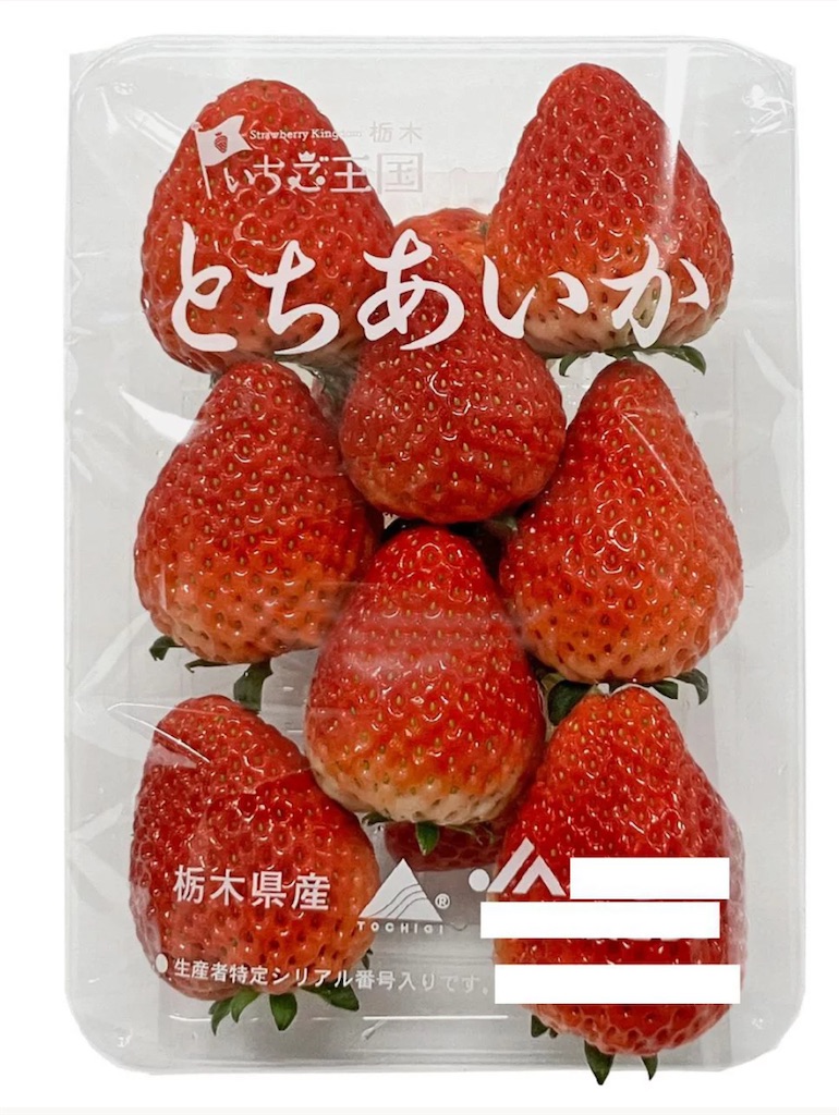 f:id:vivieng-me:20251126220123j:image f:id:vivieng-me:20251126220123j:image