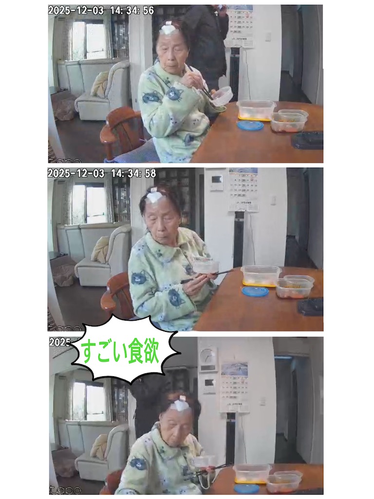 f:id:vivieng-me:20251204201208j:image