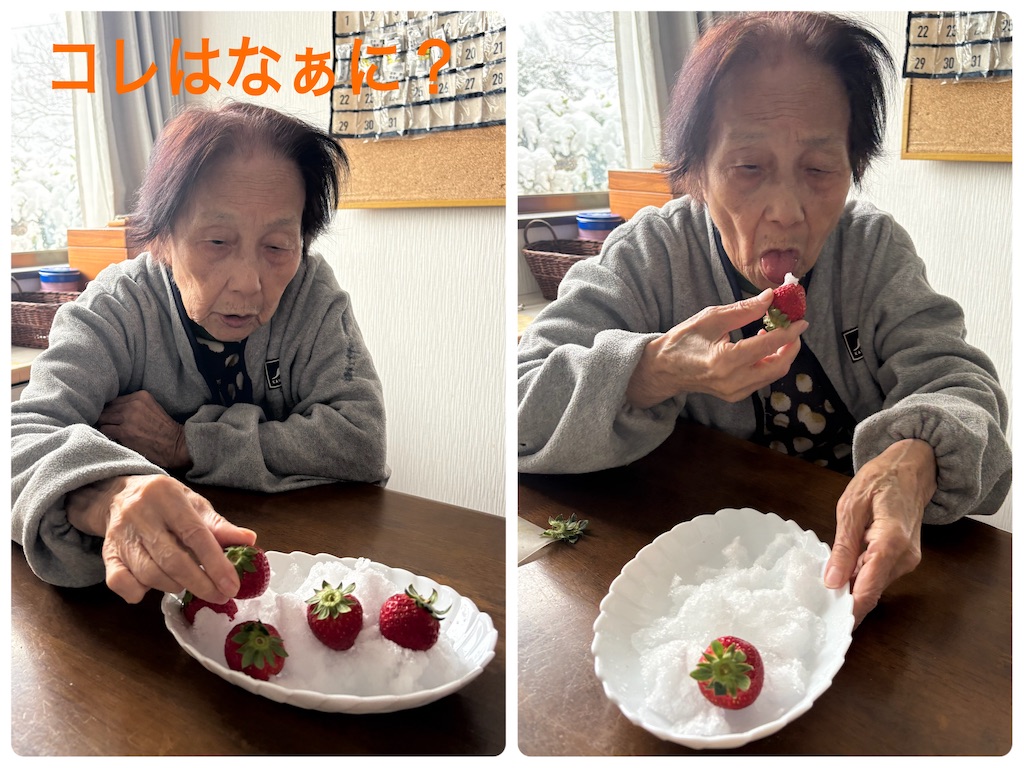 f:id:vivieng-me:20260208165712j:image