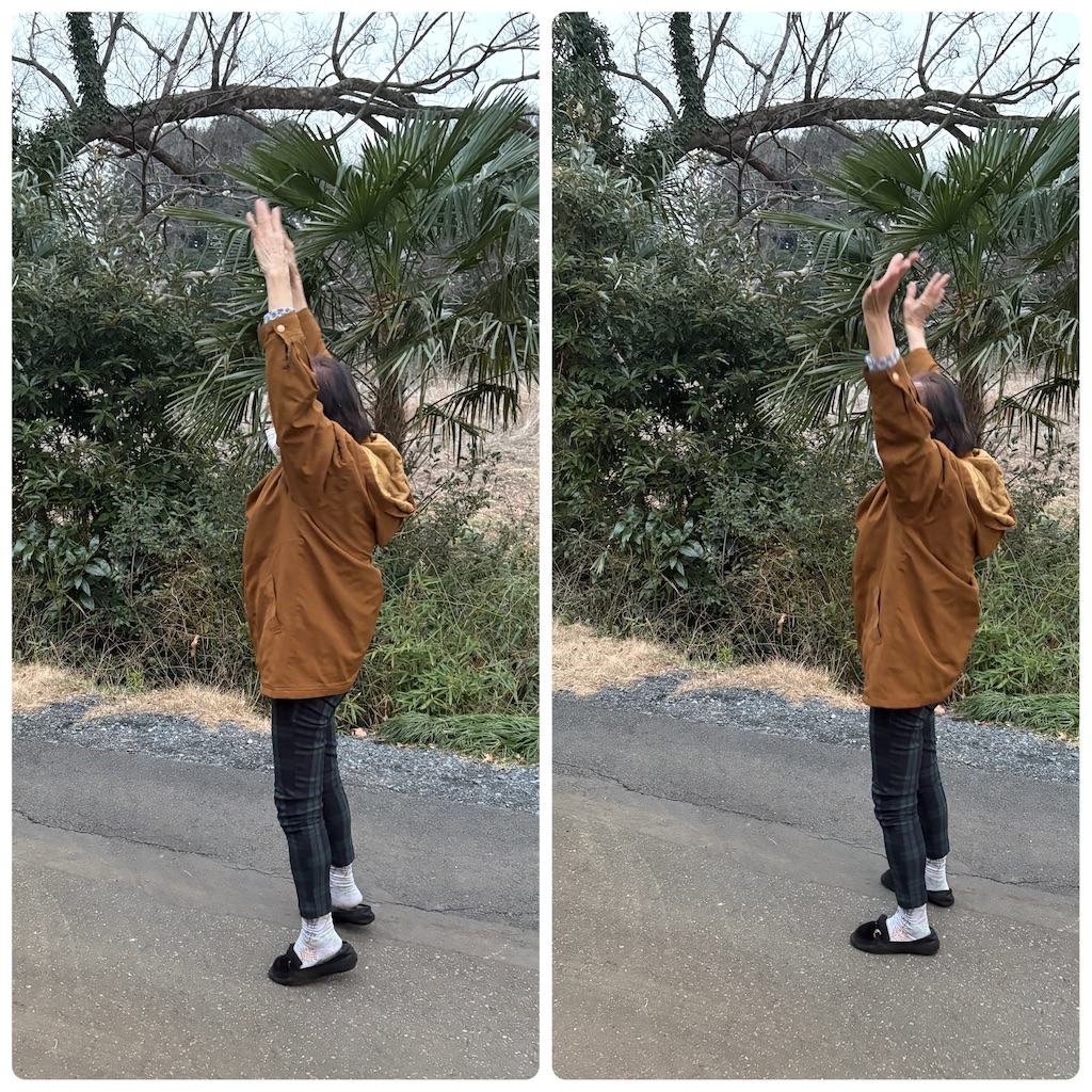 f:id:vivieng-me:20260215201749j:image