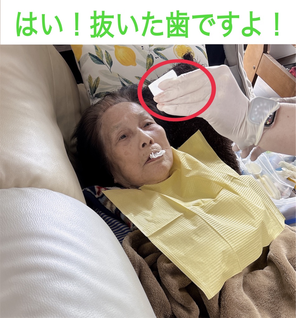 f:id:vivieng-me:20260220190207j:image
