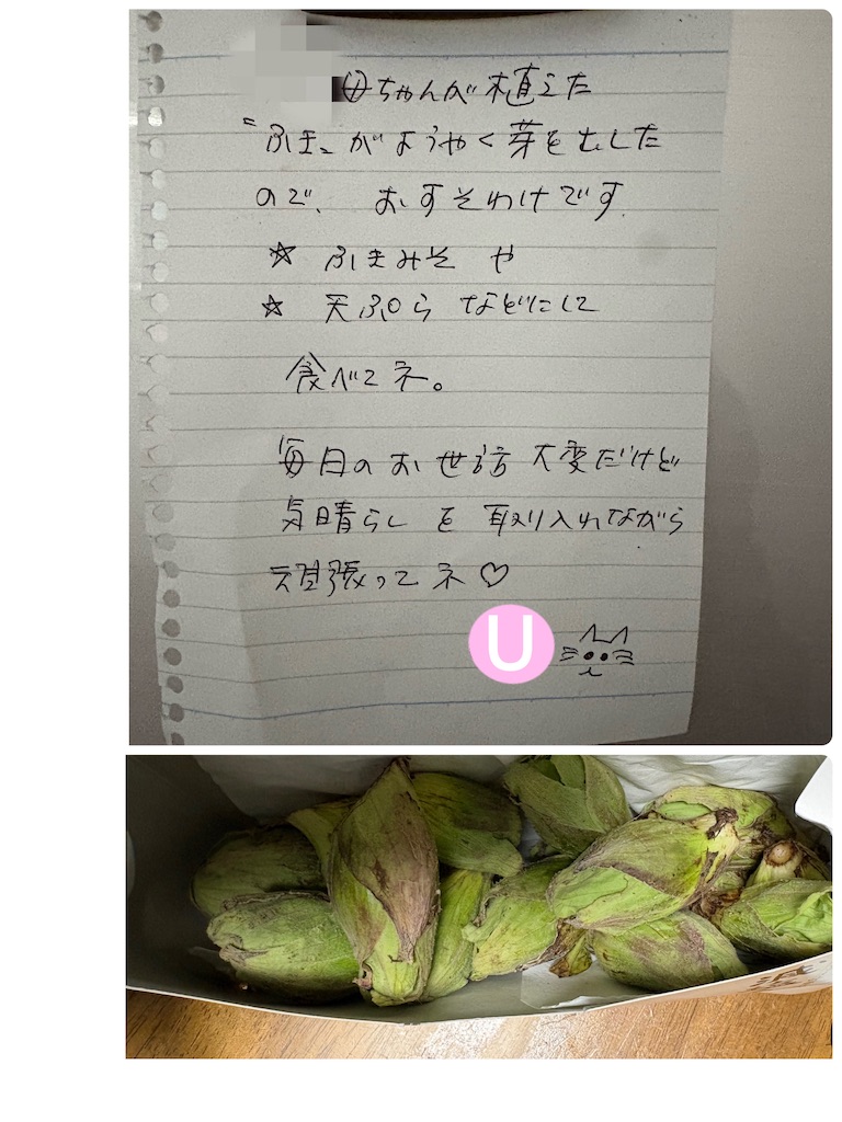 f:id:vivieng-me:20260307174225j:image