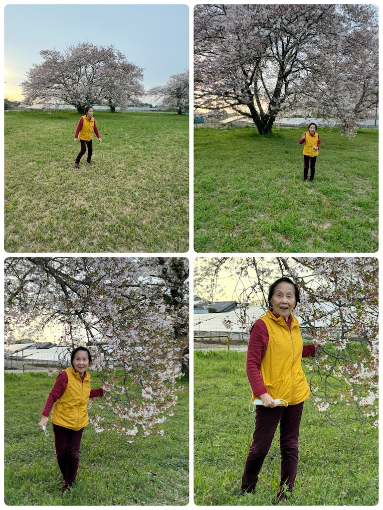 f:id:vivieng-me:20260407170542j:image
