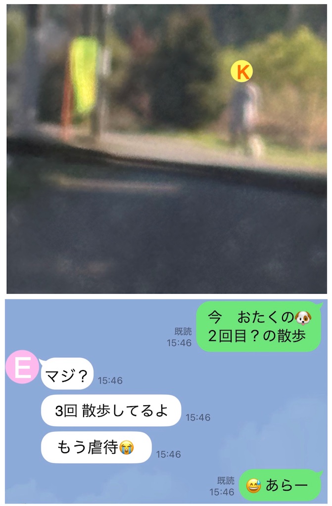 f:id:vivieng-me:20260408181954j:image