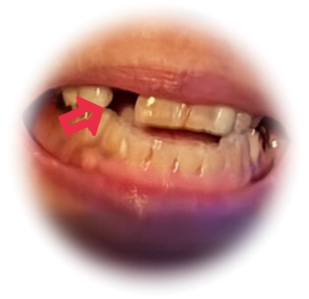 f:id:vivieng-me:20260414200008j:image
