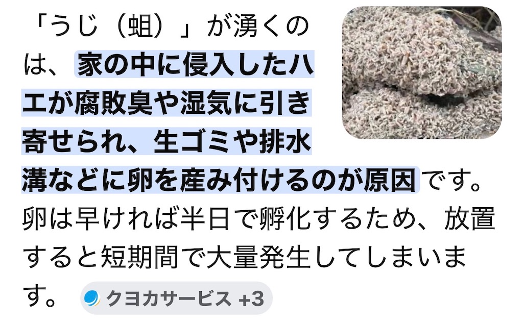 f:id:vivieng-me:20260613204754j:image f:id:vivieng-me:20260613204754j:image